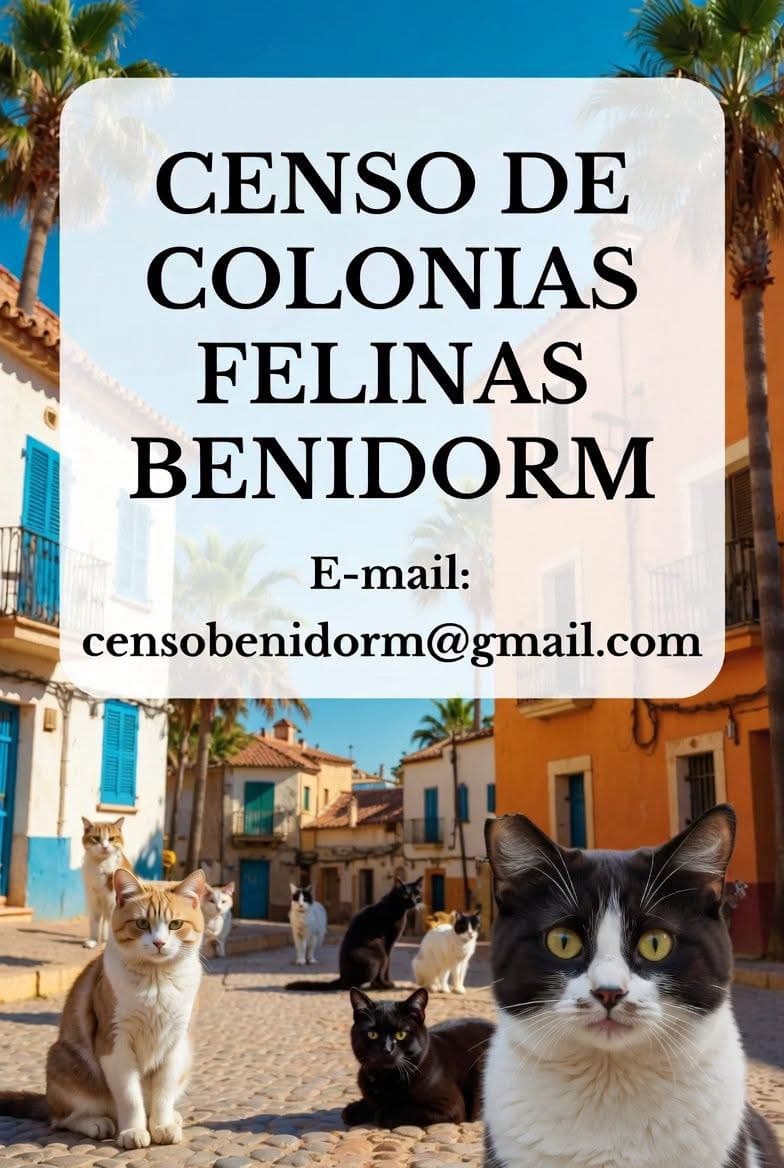 📢 Ayúdanos a censar las colonias felinas de Benidorm 🐾