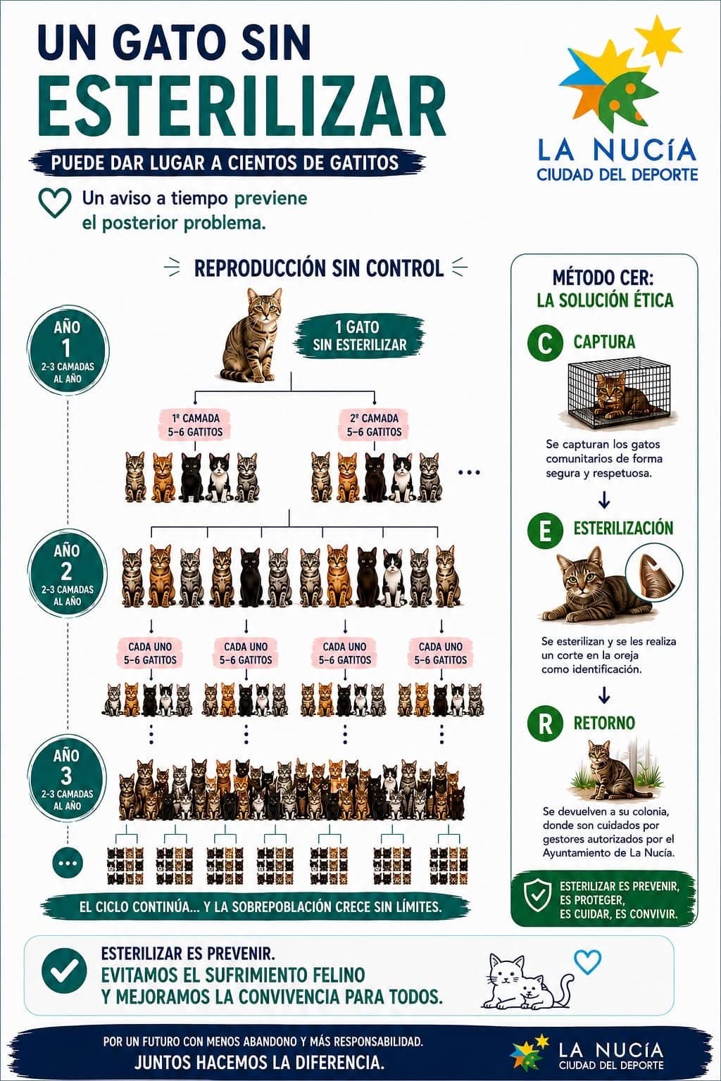🐾 Esterilizar a tiempo es prevenir ❤️